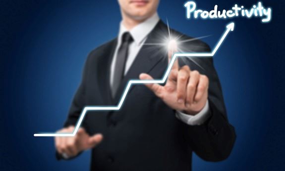 Performans ve Verimlilik Yönetimi